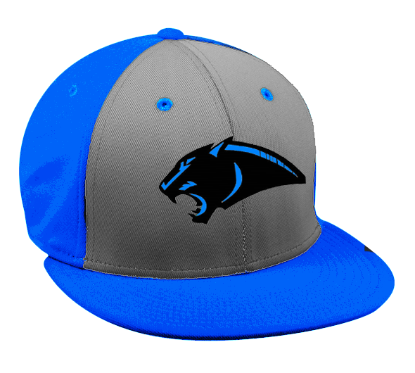 Sale Build Panther Blue Baseball Authentic Black Jersey White –  CustomJerseysPro