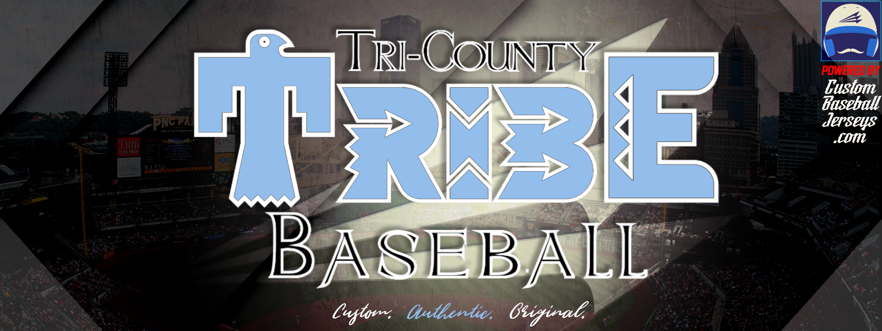 Tri County Timberwolves Custom Baseball Jerseys
