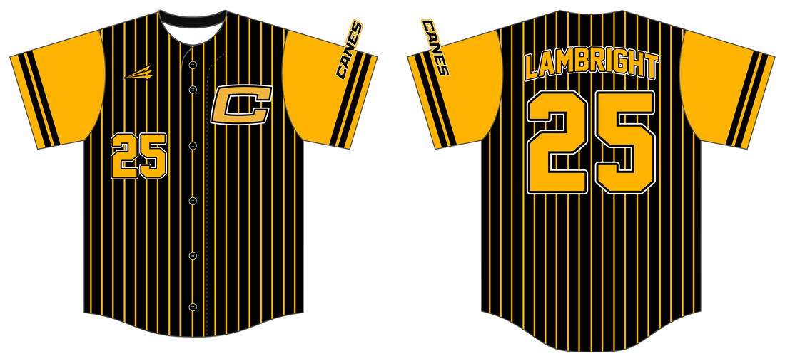 Official Canes Baseball Team Jersey