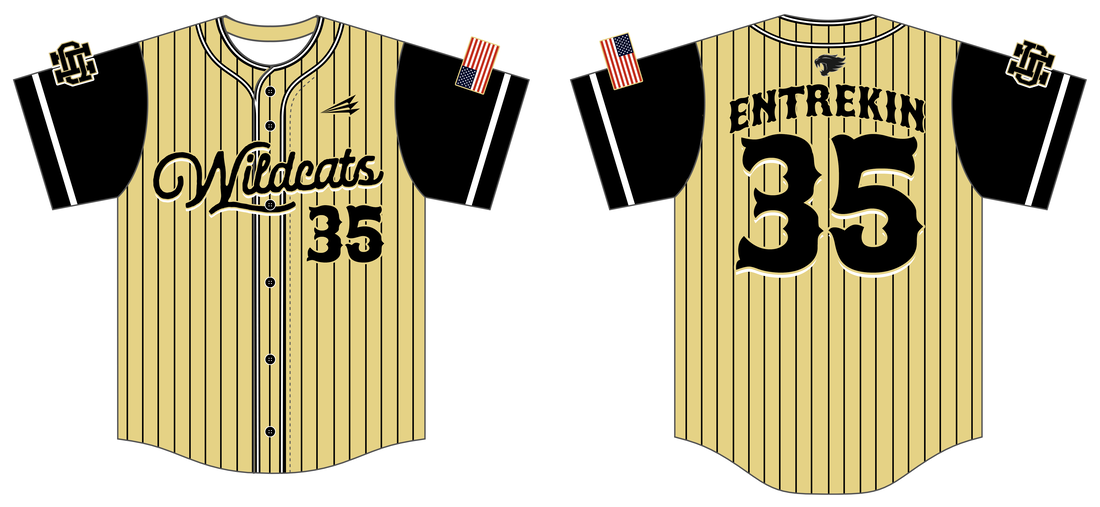 KW221-085-1 College Pinstripe Baseball Dress, DEFSHOP